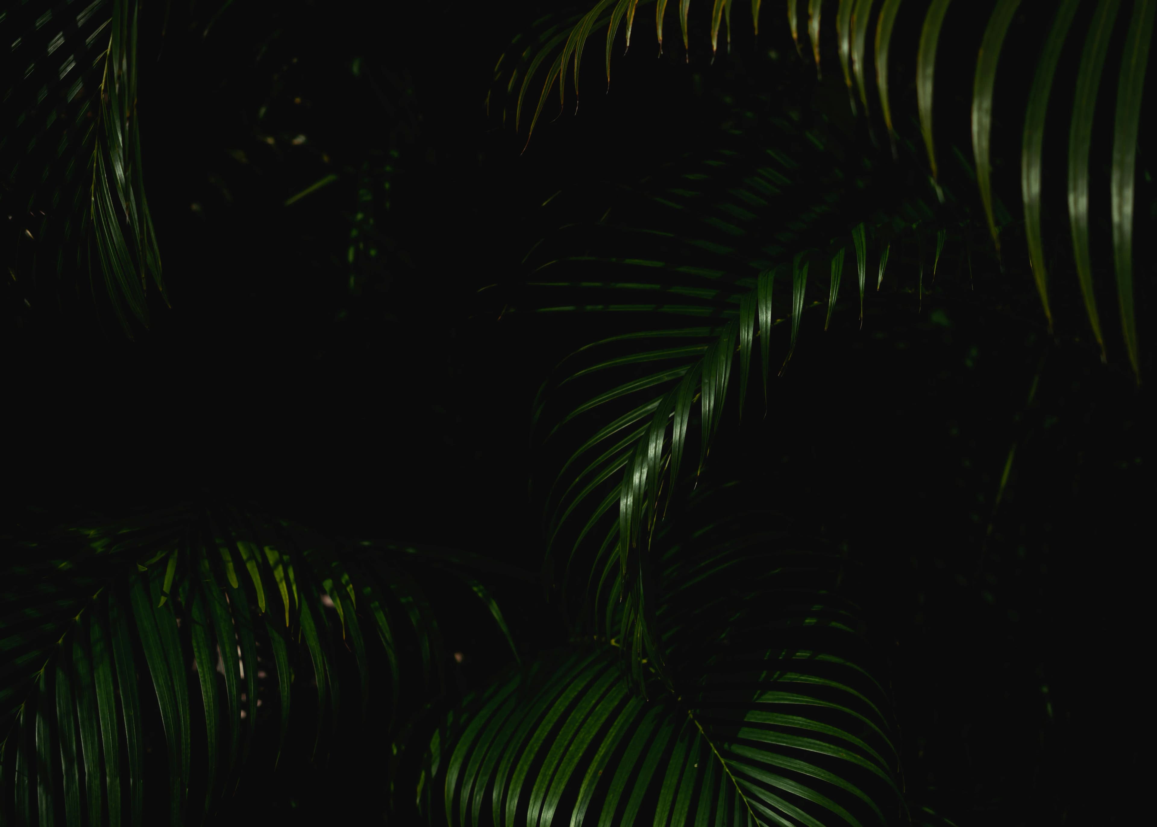 Bangla Lounge footer background